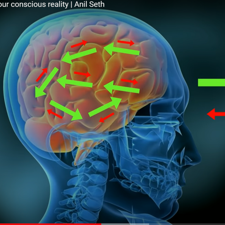 Your brain hallucinates your conscious reality
